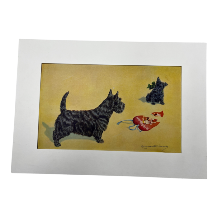 1950s charming vintage scottie dog print 2165