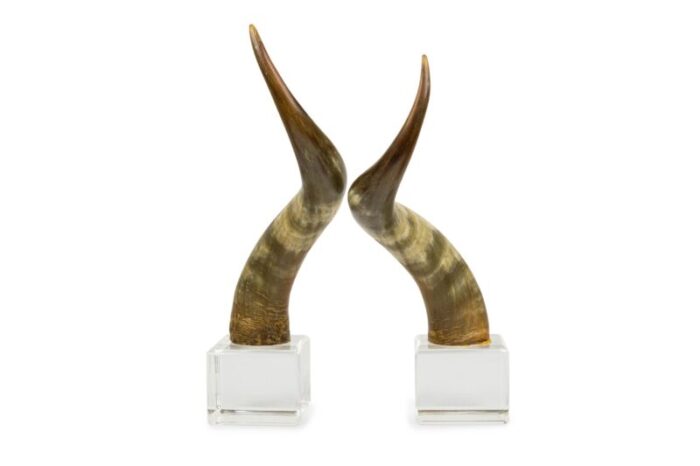 american mid century steer horn bookends 0383