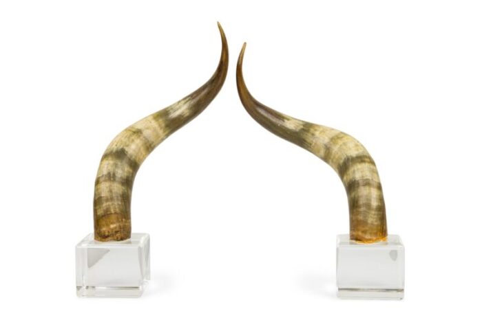 american mid century steer horn bookends 0568