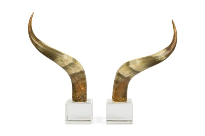 american mid century steer horn bookends 0595