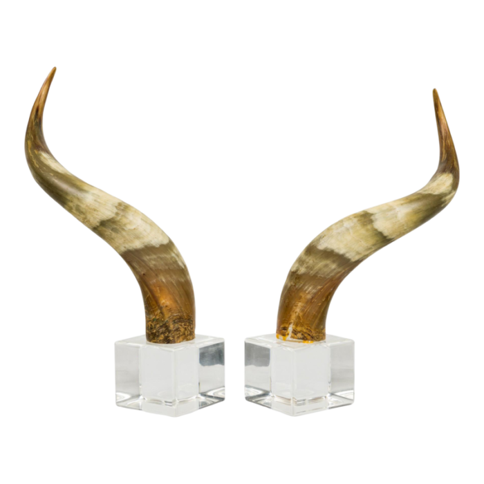 american mid century steer horn bookends 2302