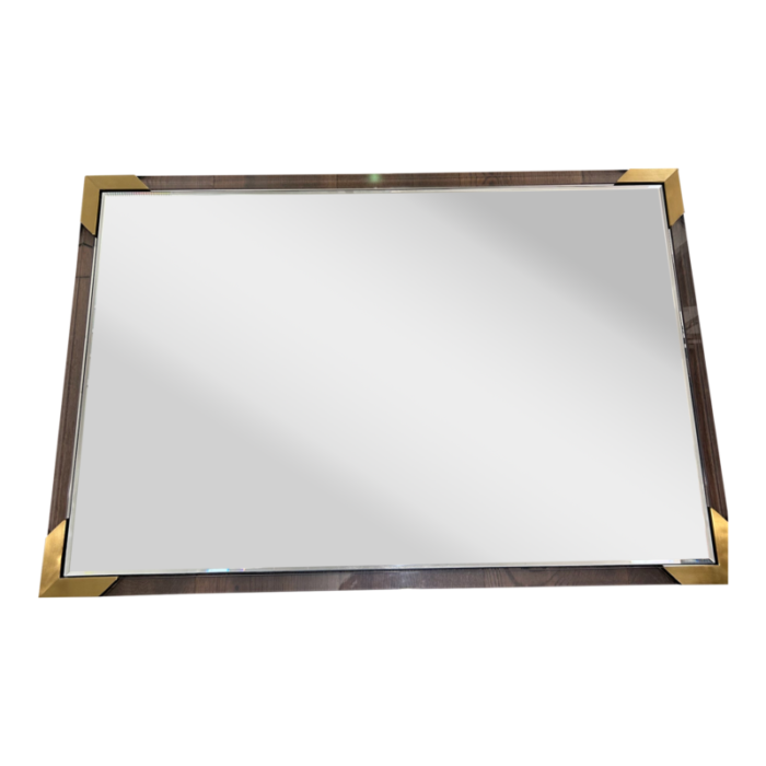 cb2 demi rectangular acrylic mirror 2255