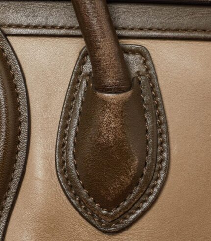 celine-greenbeige-leather-nano-luggage-tote-5825.jpg