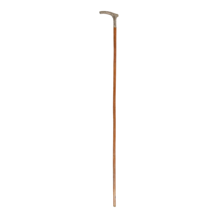 english victorian style silver and wood cane 0977