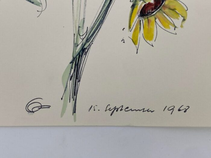 hans ott sunflower 1968 ink and watercolor drawing 1102