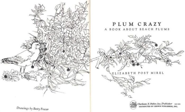 plum crazy a book about beach plums 1973 mirel elizabeth post 2457