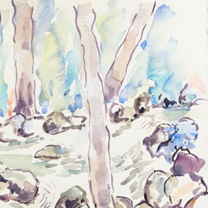 saratoga creek wildwood park by donald geoffroy large watercolor landscape 0039