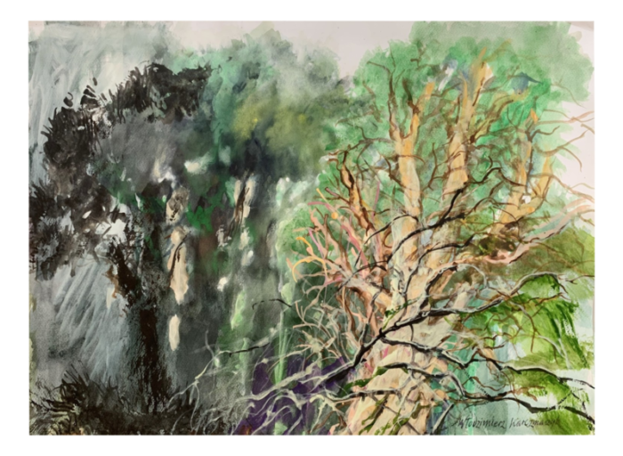 wodzimierz karczmarzyk an ancient forest 2015 watercolor 7706