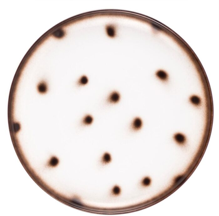 yellow dots porcelain collection plate from litolff 0666